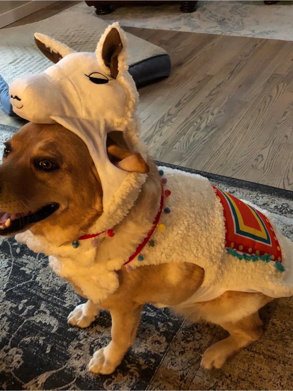Plush Llama Dog Halloween costume